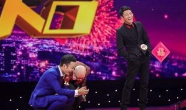 撒贝宁爆料春妮视频大全,带你领略精彩瞬间